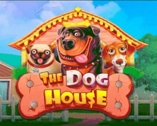 play the dog house in casinova