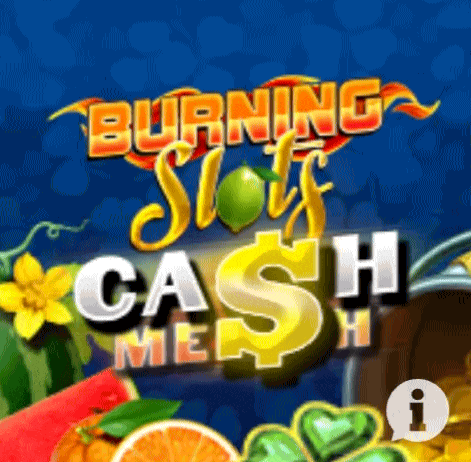 play burning slots in casinova